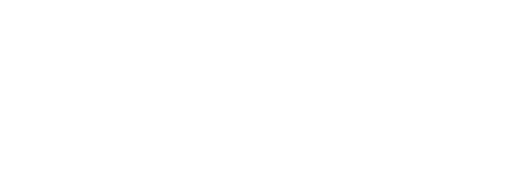 The Rogue Academy